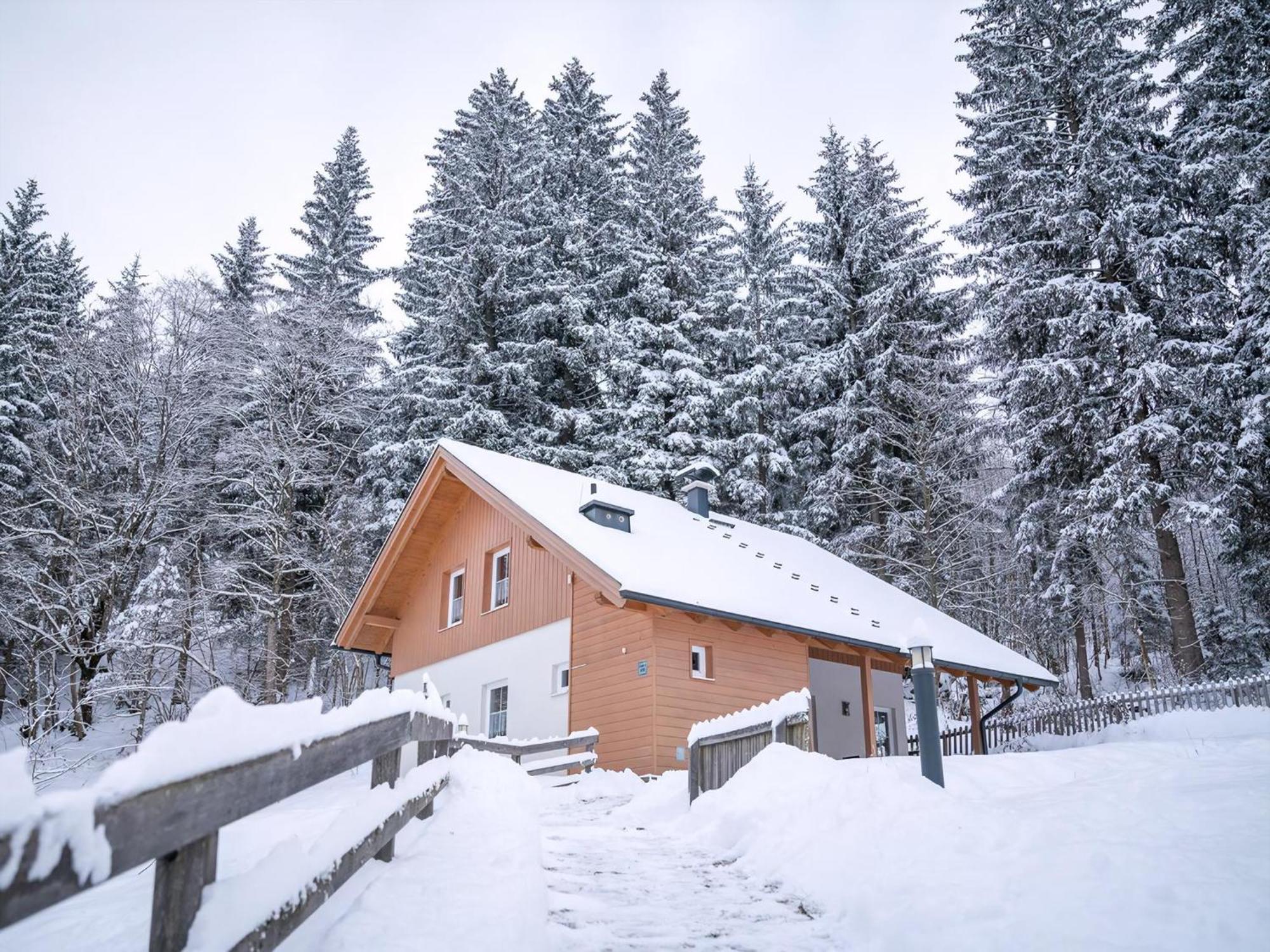 Landal Bad Kleinkirchheim Hotel Ngoại thất bức ảnh